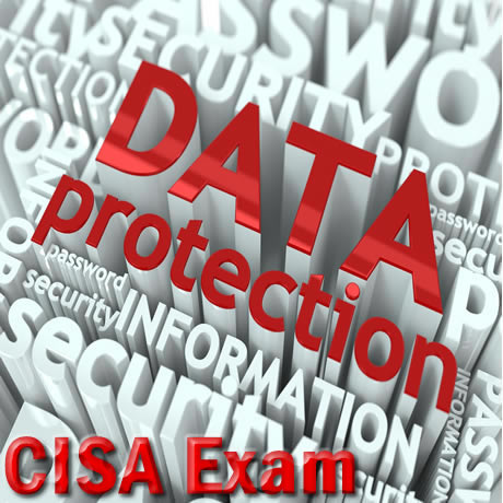 CISA Examination